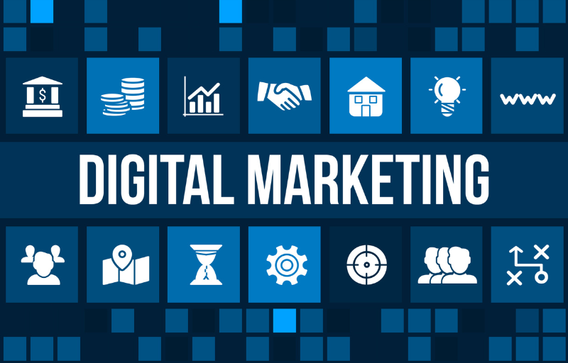 Best Digital Marketing Company in Chandigarh – WindowIT