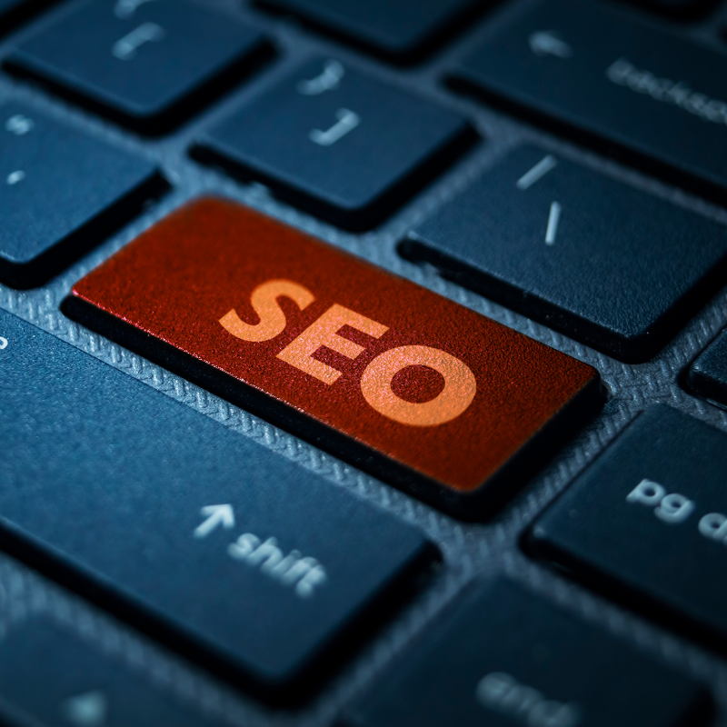 seo agency in Chandigarh