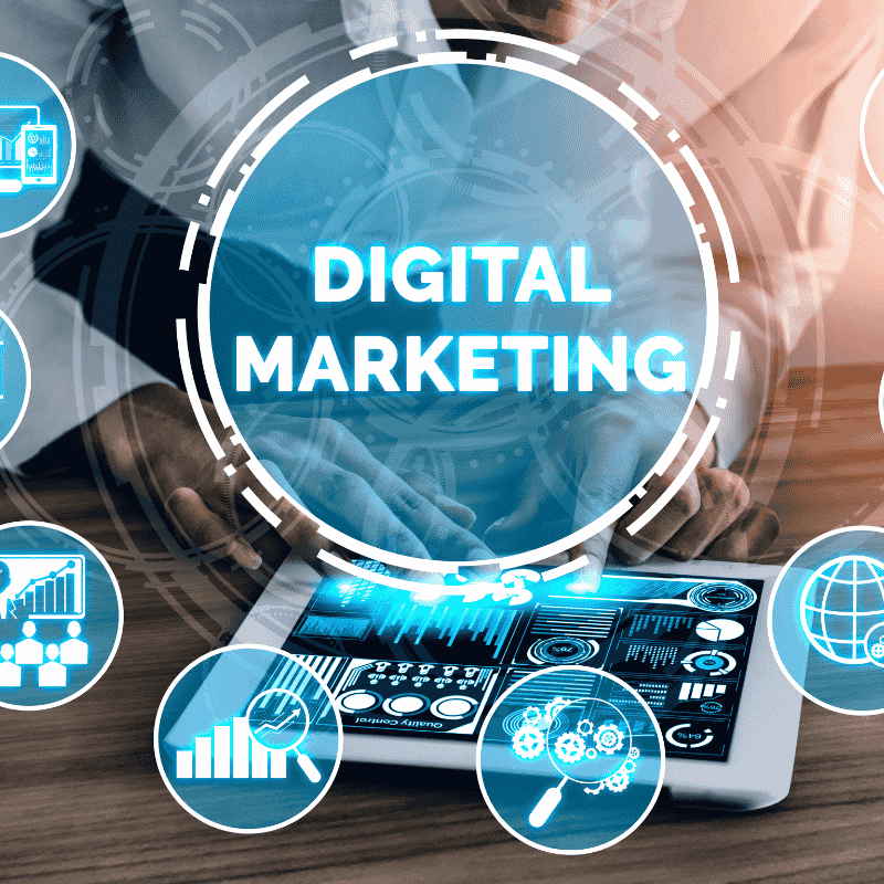 Affordable Digital Marketing Company in Mohali