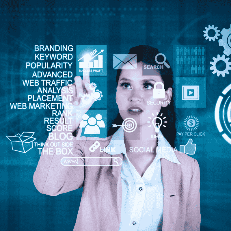 seo consultant in Chandigarh
