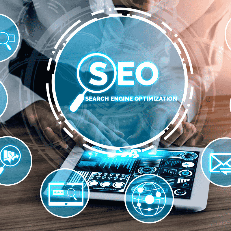 seo expert in Mohali